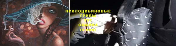 меф Заводоуковск