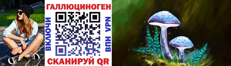 Купить закладки  Гатчина  Галлюциногенные грибы мицелий 